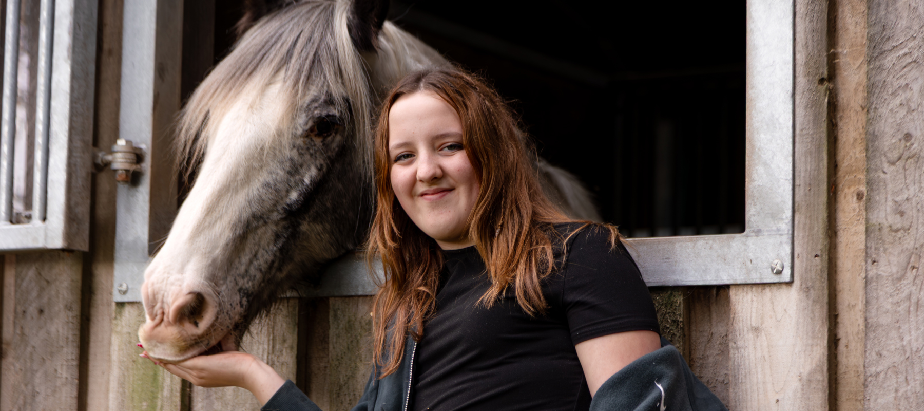 Young Person Greeting A Horse (Oct 6, 2027)