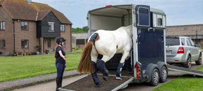 Travelling A Horse