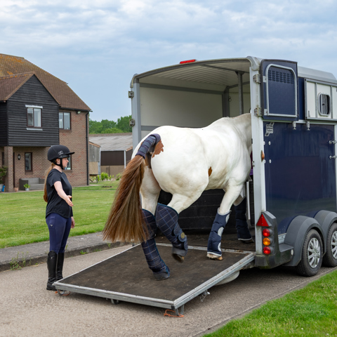 Travelling A Horse