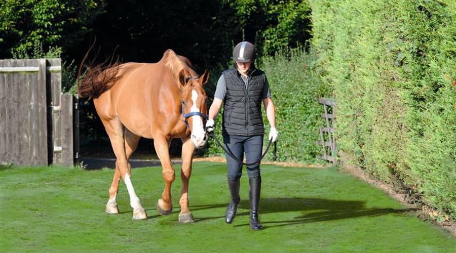 Gentle Walking