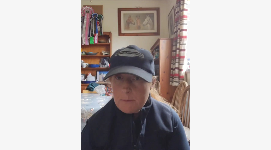 Vid 111730311 093635 320 Exported 30933 Border Grey