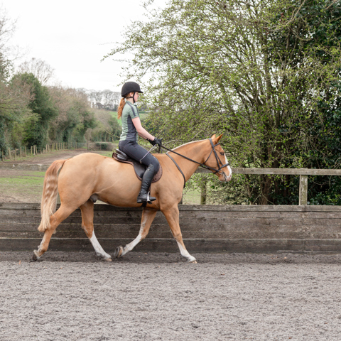 Horse And Rider Trotting In An Arena