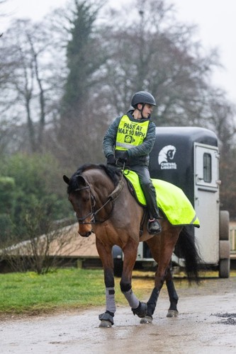 Horse and rider out hacking wearing hi-vis, including a hi-vis exercise sheet