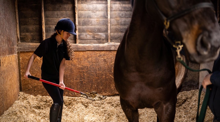 woman collecting waste horse stables