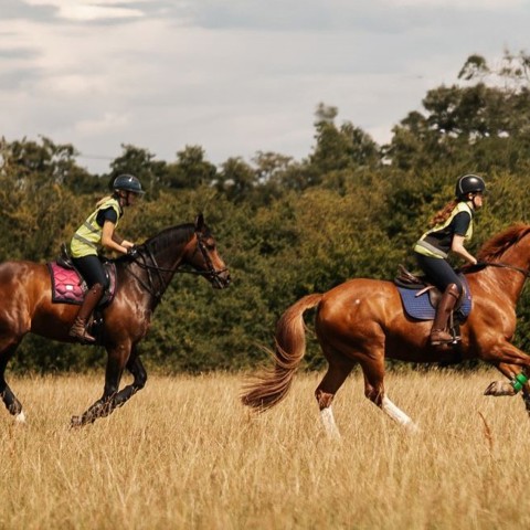 BHS Swallowfield Summer Canter Cropped