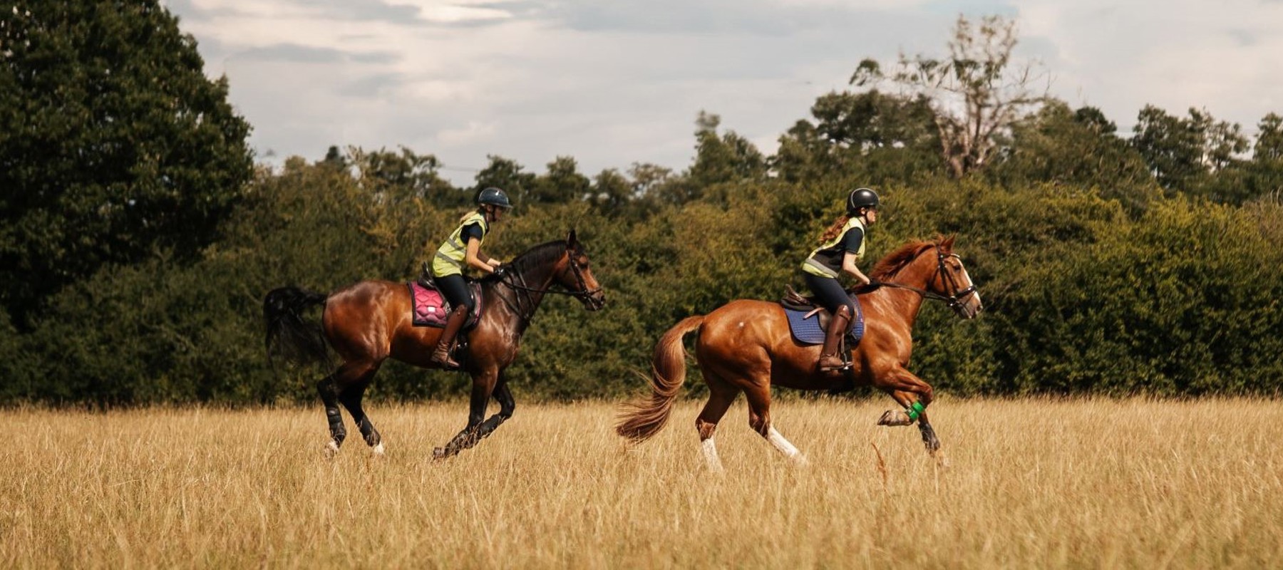 BHS Swallowfield Summer Canter Cropped