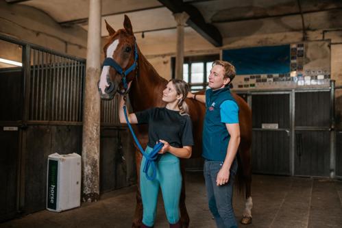 Man and woman holding a chestnut horse on a headcollar