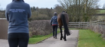 Thumbnail Pic 12 Walking Up