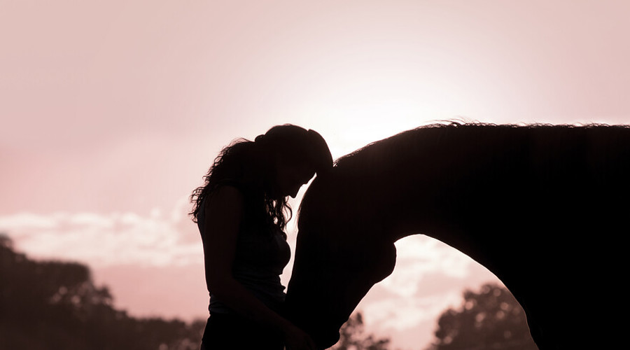 Horse Affection (3)