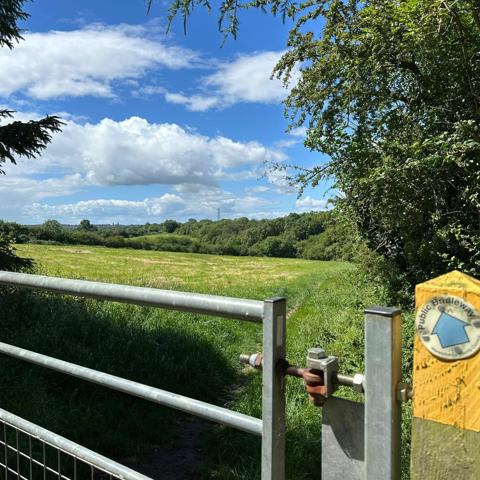 Bridleway Sign In The Sun Landscape