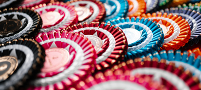 Riding School Championships Rosettes