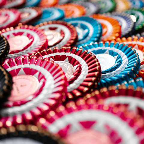 Riding School Championships Rosettes