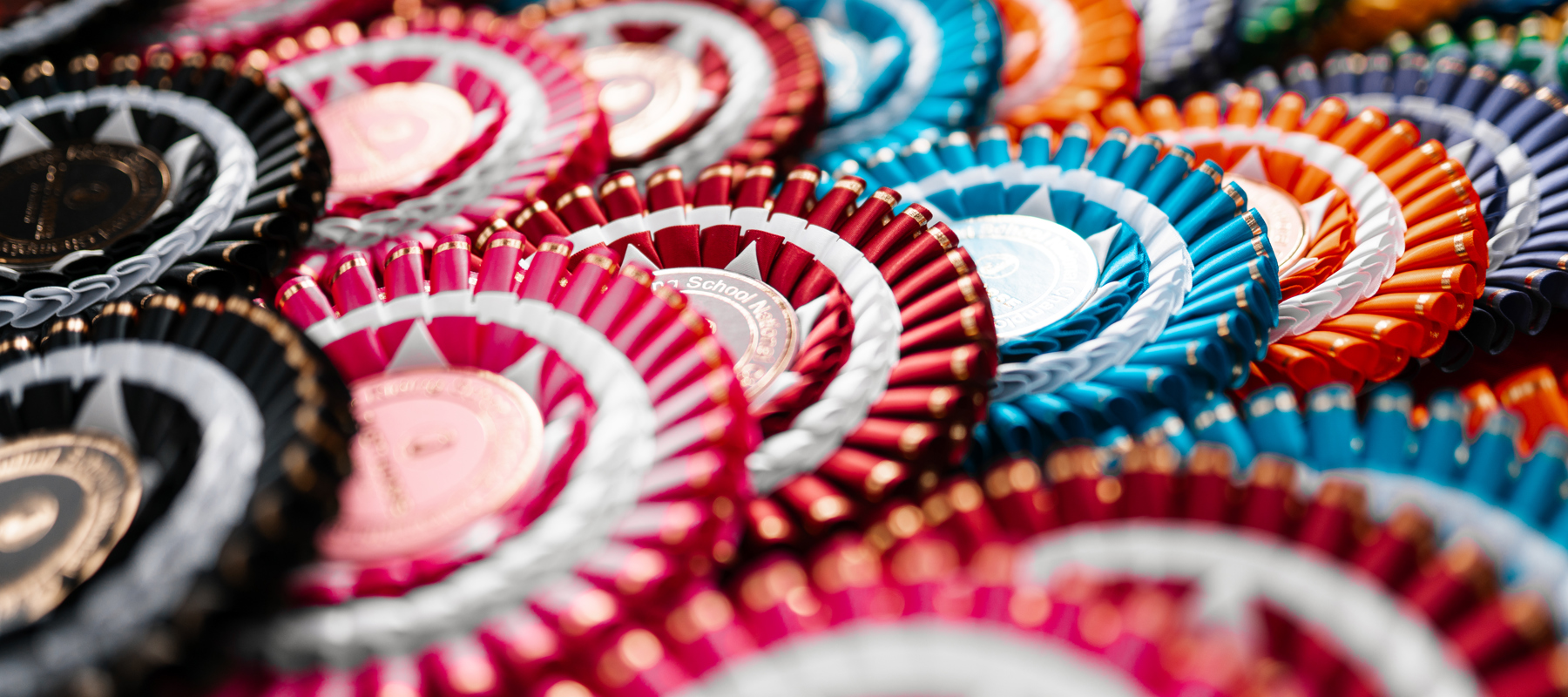 Riding School Championships Rosettes