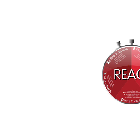 Colicreact Clock (1) Copy (1)