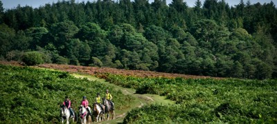 horse riding out in nature