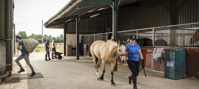 woman leading a horse in hand