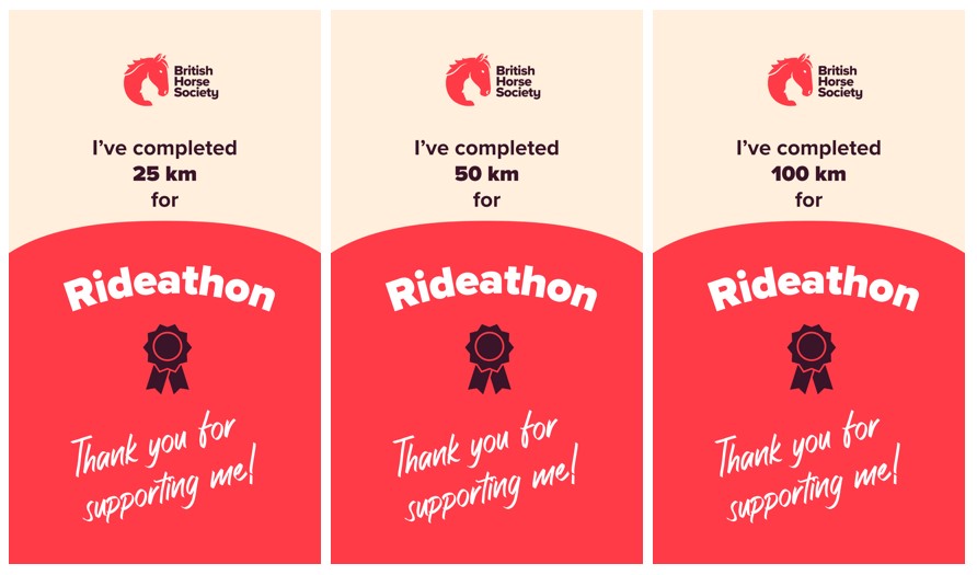 Examples of completed Rideathon graphics