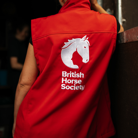 Lady facing away from the camera wearing a red gilet with British Horse Society logo on the back