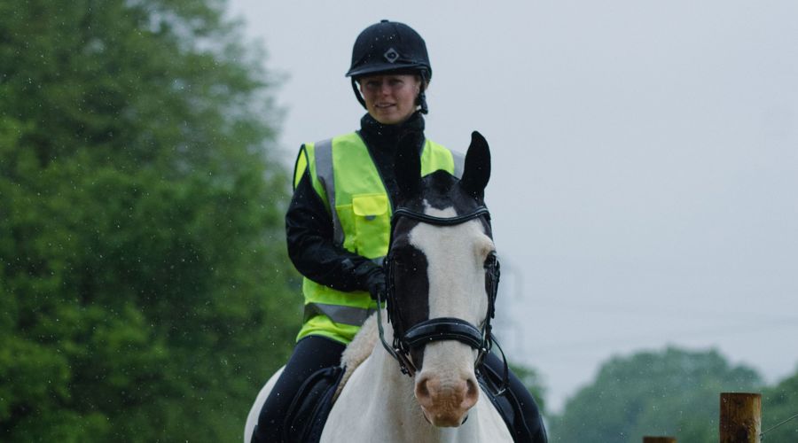 rider on a horse wearing hi vis
