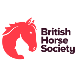 British Horse Society home