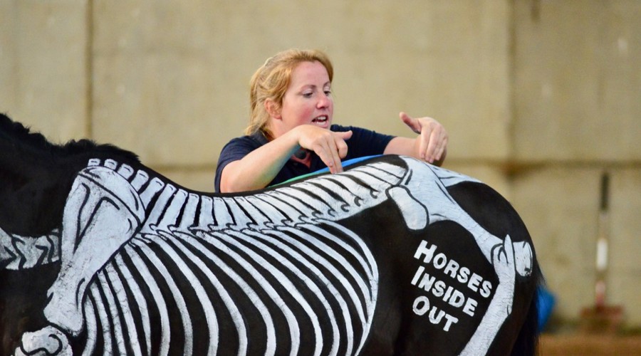 horses inside out presentation