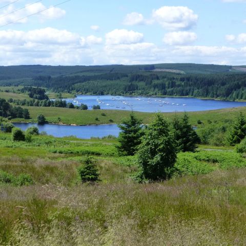 Kielder Water By Russel Wills