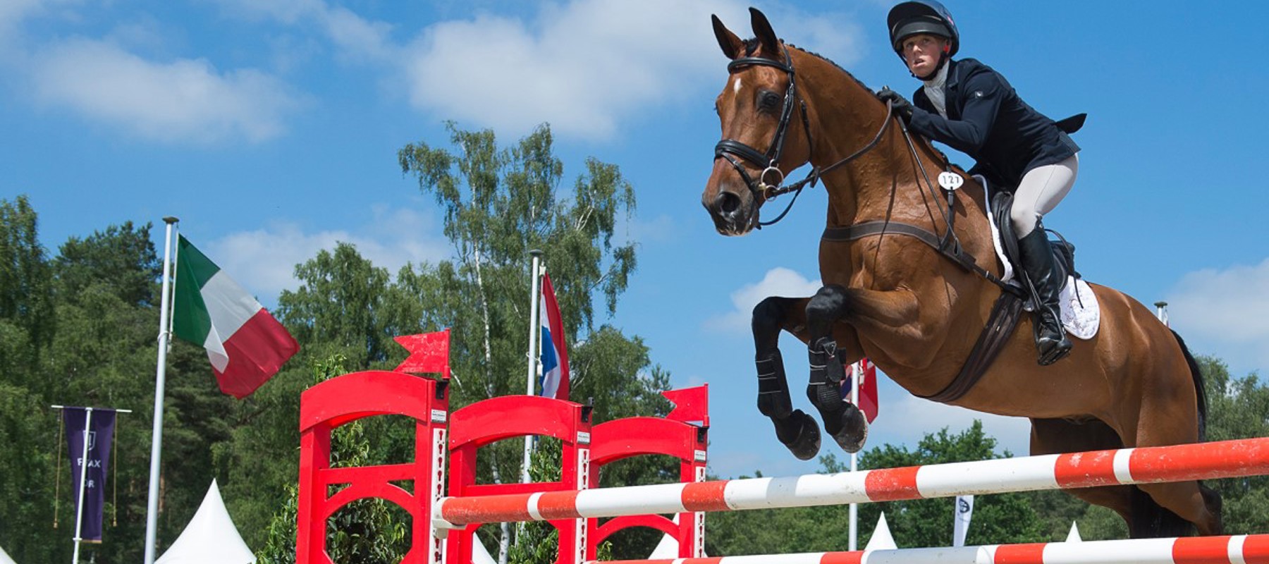 horse showjumping