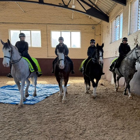 Merseyside Police Horses Demonstration