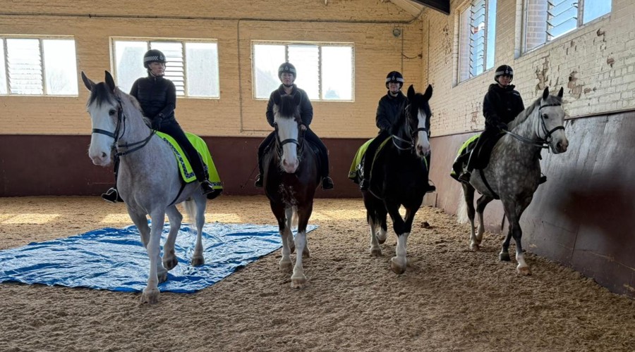 Merseyside Police Horses Demonstration