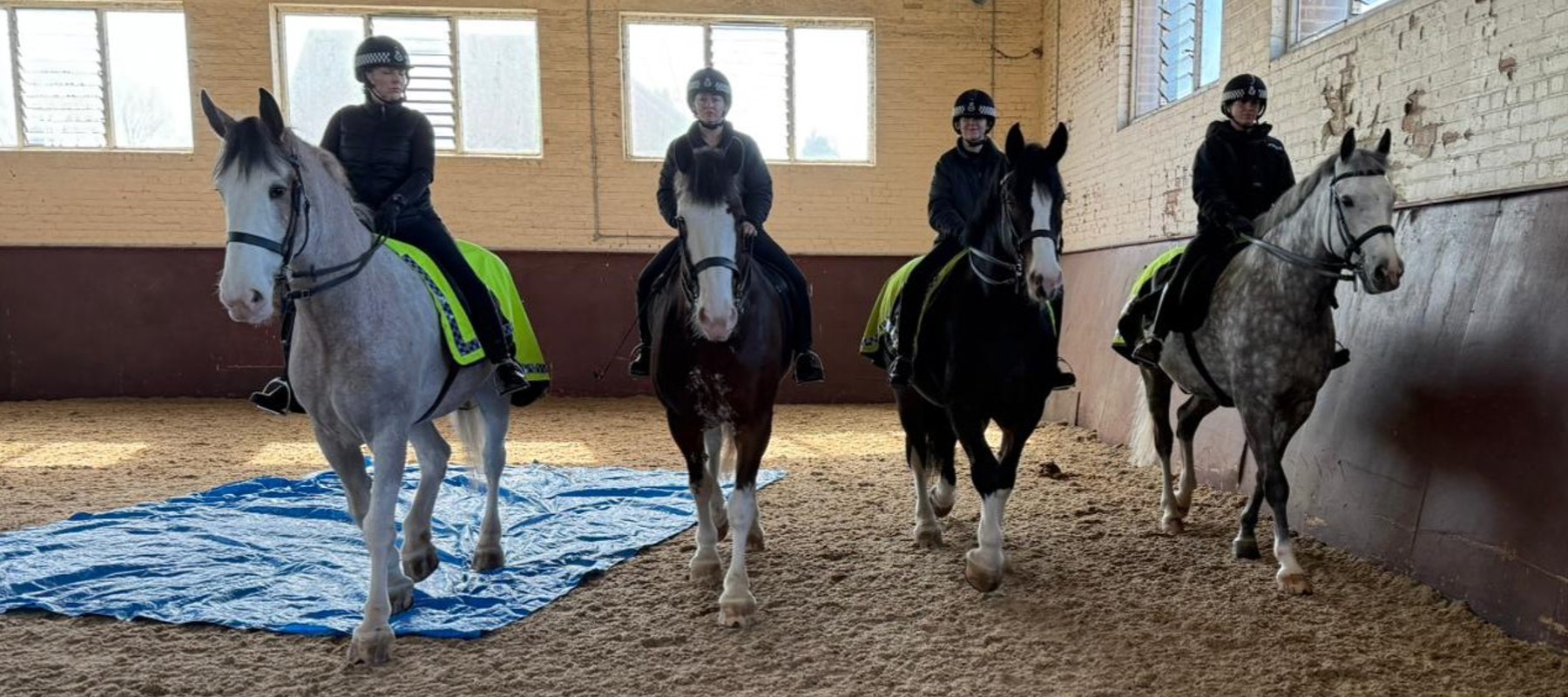 Merseyside Police Horses Demonstration