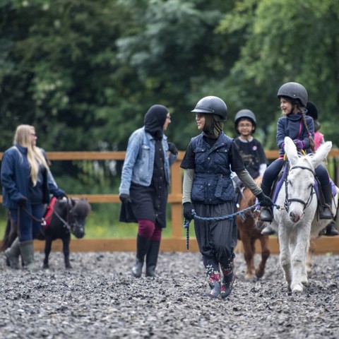 summerfield stables riding lesson