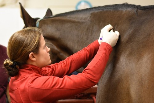 Vaccination