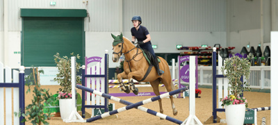 Palomino Indoor Jumping At Aintree