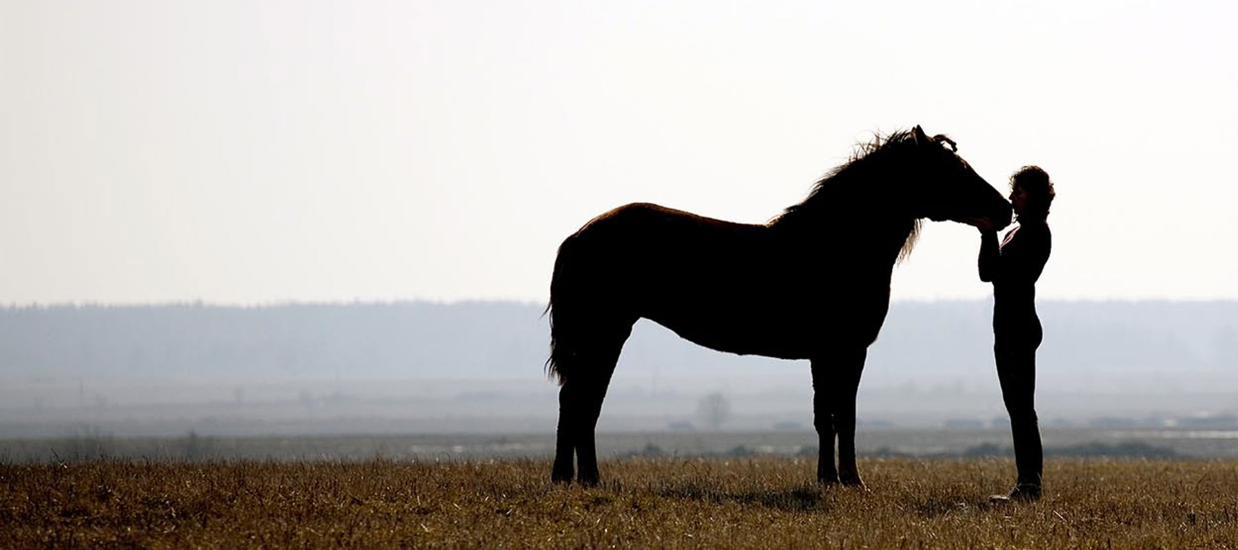 Horse And Rider In Countryside Shutterstock 11585581