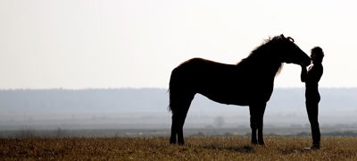 Horse And Rider In Countryside Shutterstock 11585581
