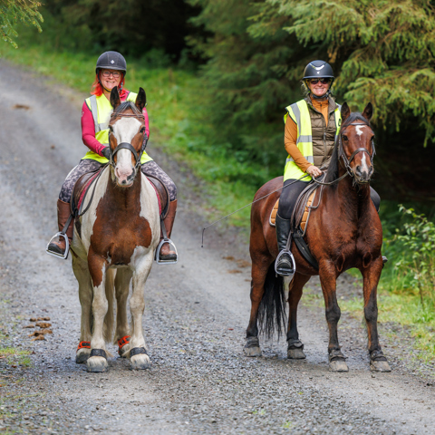 Gisburn Forest Ride 2026 (1)