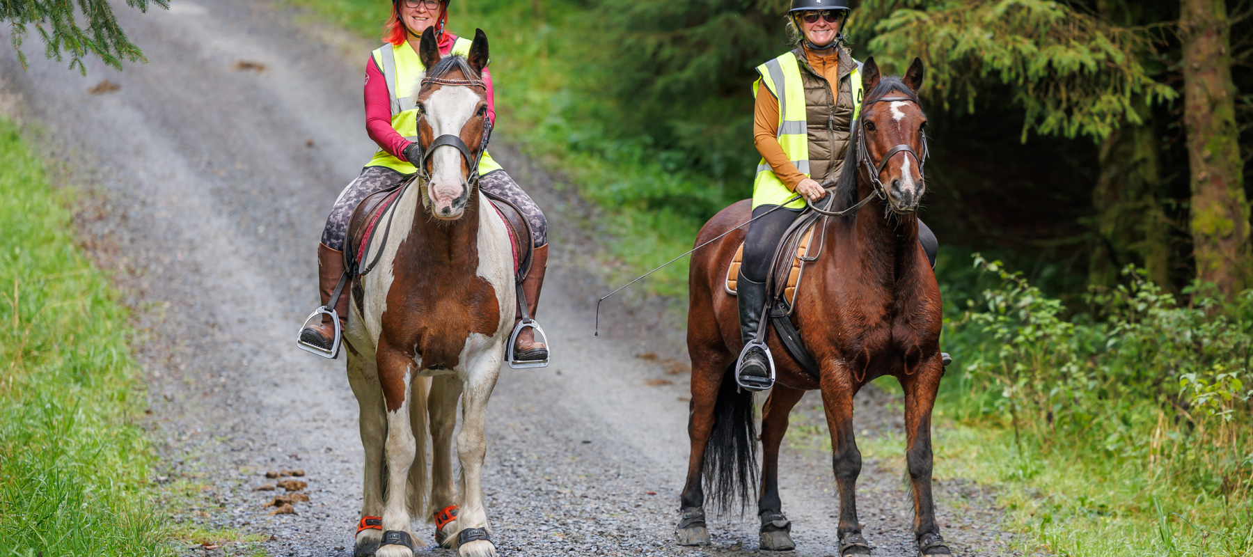 Gisburn Forest Ride 2026 (1)