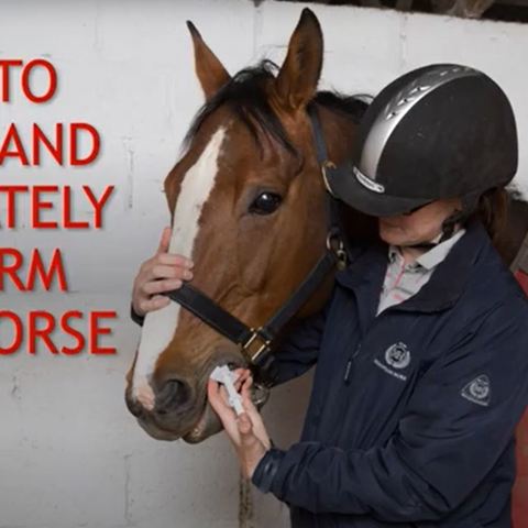 Deworm Your Horse