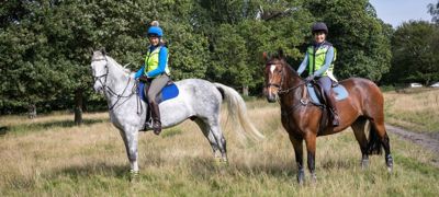 riding out in the forest