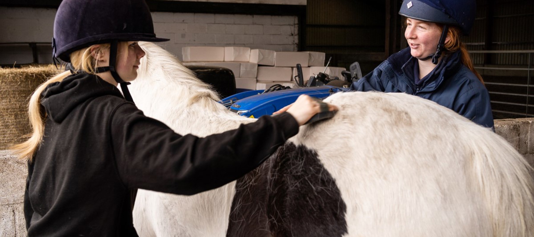women grooming horse