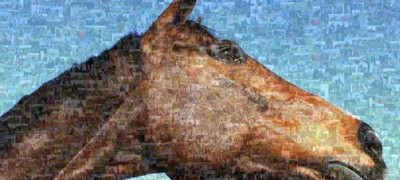 Mosaic Final