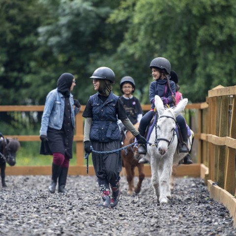 children riding on ponies