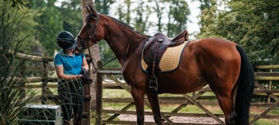 Woman Standing With Tacked Up Bay Horse