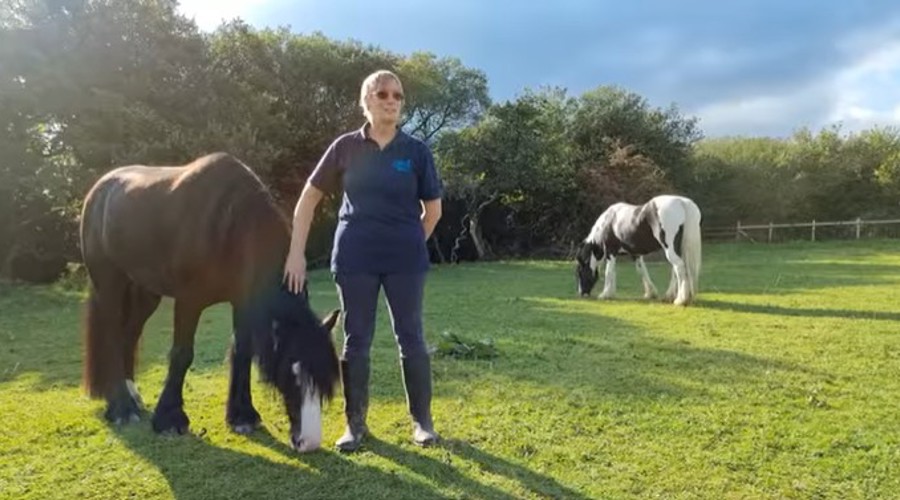 Tommy And Angus Video Thumbnail